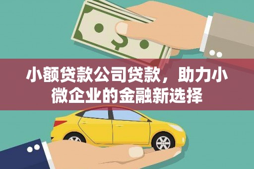 江东小额贷款公司贷款，助力小微企业的金融新选择