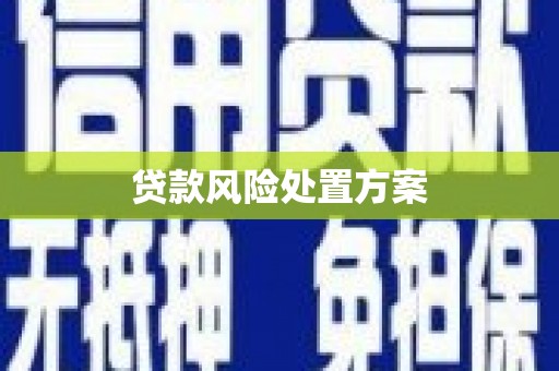 江东贷款风险处置方案