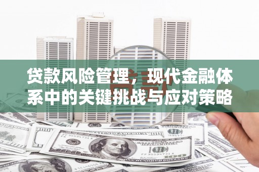 江东贷款风险管理，现代金融体系中的关键挑战与应对策略