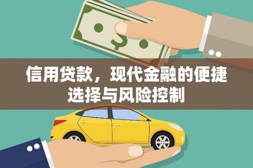 江东信用贷款，现代金融的便捷选择与风险控制