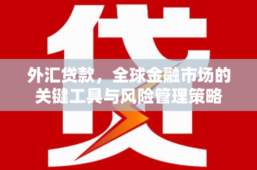 江东外汇贷款，全球金融市场的关键工具与风险管理策略