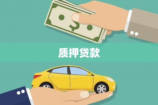 江东质押贷款