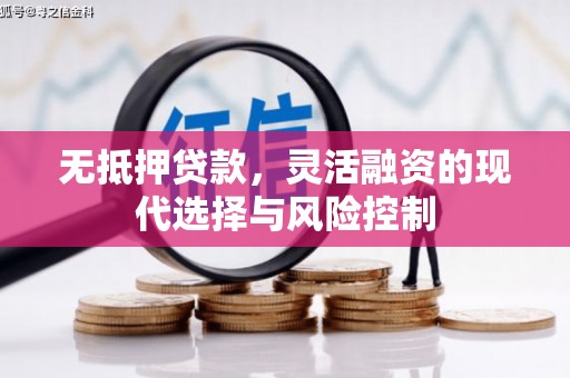 江东无抵押贷款，灵活融资的现代选择与风险控制