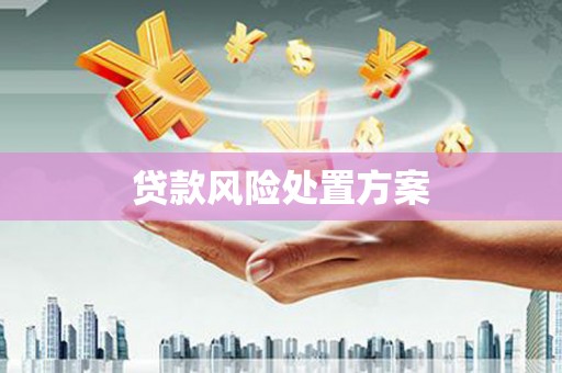 江东贷款风险处置方案