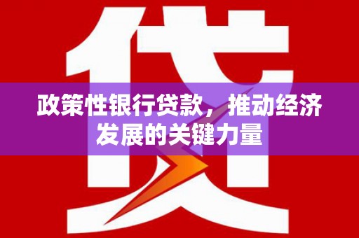 江东政策性银行贷款，推动经济发展的关键力量