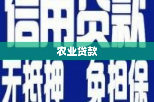 江东农业贷款