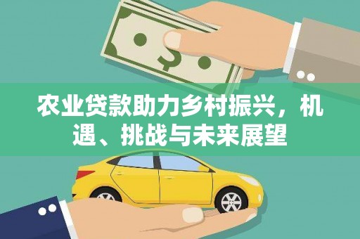 江东农业贷款助力乡村振兴，机遇、挑战与未来展望