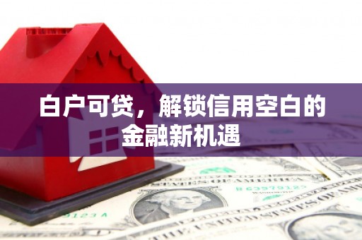 江东白户可贷，解锁信用空白的金融新机遇
