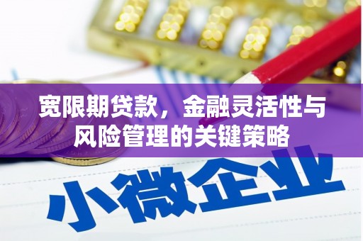 江东宽限期贷款，金融灵活性与风险管理的关键策略