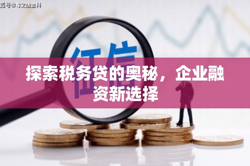 江东探索税务贷的奥秘，企业融资新选择