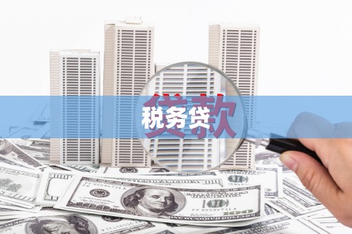 江东税务贷