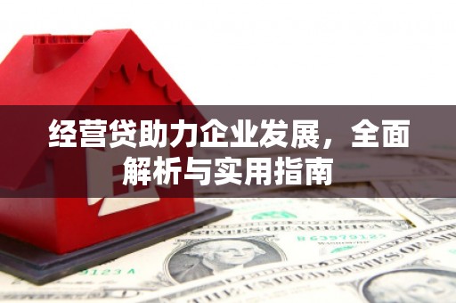 江东经营贷助力企业发展，全面解析与实用指南