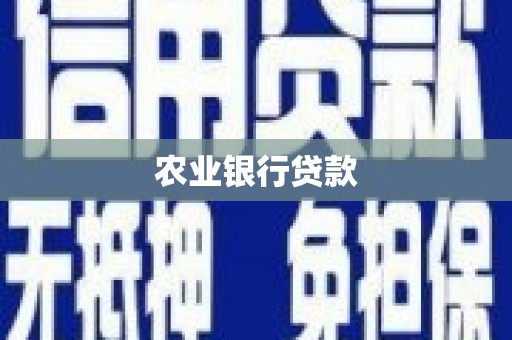 江东农业银行贷款