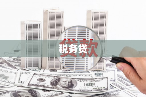 江东税务贷