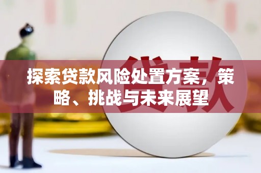 江东探索贷款风险处置方案，策略、挑战与未来展望