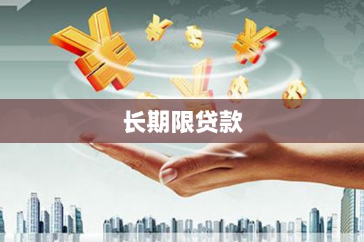 江东长期限贷款