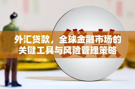 江东外汇贷款，全球金融市场的关键工具与风险管理策略