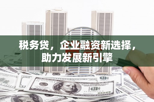 江东税务贷，企业融资新选择，助力发展新引擎