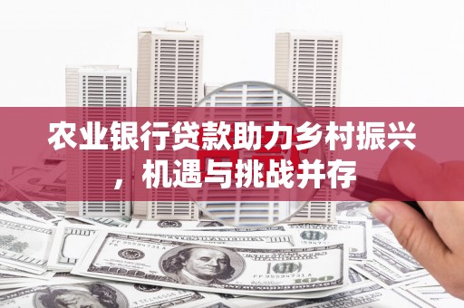 江东农业银行贷款助力乡村振兴，机遇与挑战并存