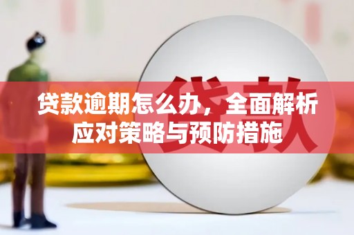 江东贷款逾期怎么办，全面解析应对策略与预防措施