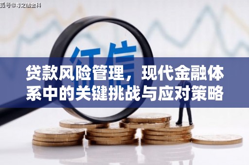 江东贷款风险管理，现代金融体系中的关键挑战与应对策略
