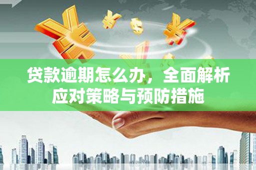 江东贷款逾期怎么办，全面解析应对策略与预防措施