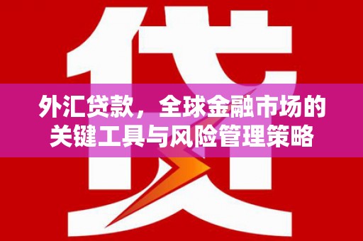 江东外汇贷款，全球金融市场的关键工具与风险管理策略