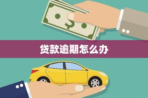江东贷款逾期怎么办