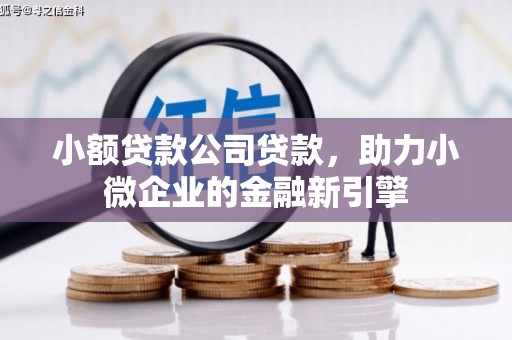 江东小额贷款公司贷款，助力小微企业的金融新引擎