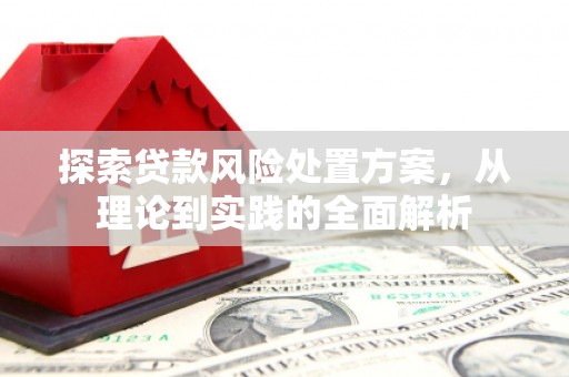 江东探索贷款风险处置方案，从理论到实践的全面解析