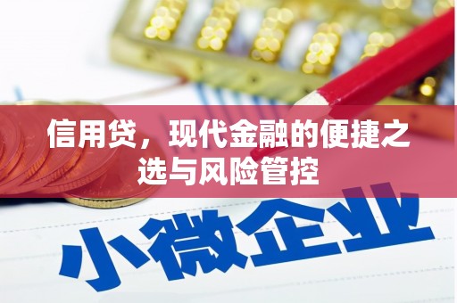 江东信用贷，现代金融的便捷之选与风险管控