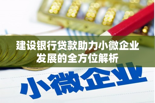江东建设银行贷款助力小微企业发展的全方位解析