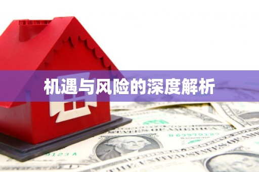 江东机遇与风险的深度解析