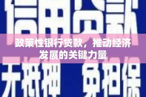 江东政策性银行贷款，推动经济发展的关键力量