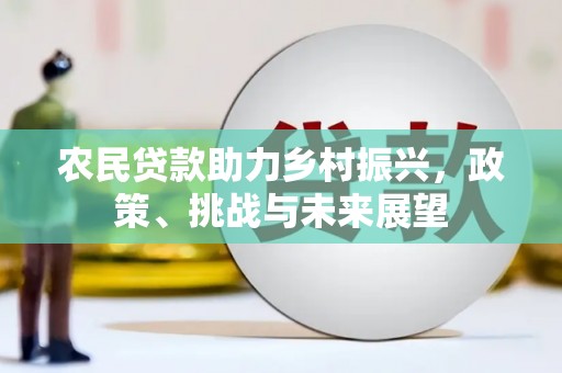 江东农民贷款助力乡村振兴，政策、挑战与未来展望