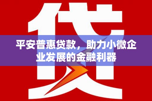 江东平安普惠贷款，助力小微企业发展的金融利器