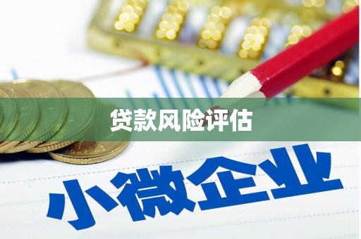 江东贷款风险评估