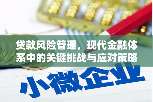 江东贷款风险管理，现代金融体系中的关键挑战与应对策略