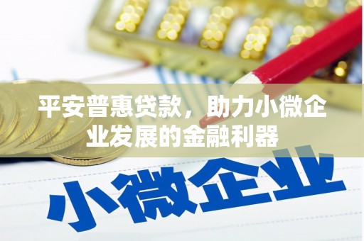 江东平安普惠贷款，助力小微企业发展的金融利器