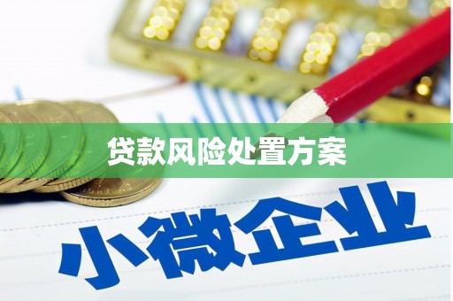 江东贷款风险处置方案