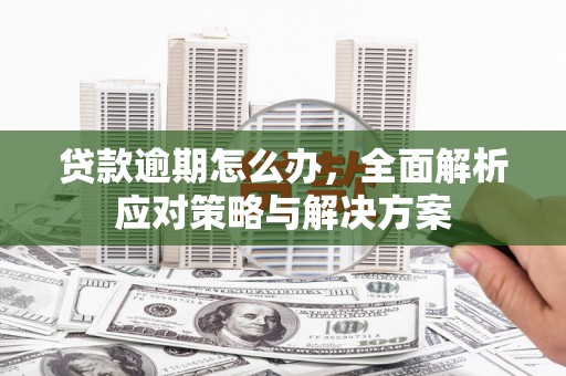 江东贷款逾期怎么办，全面解析应对策略与解决方案