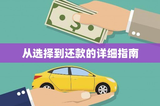 江东从选择到还款的详细指南