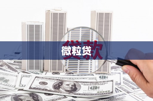 江东微粒贷