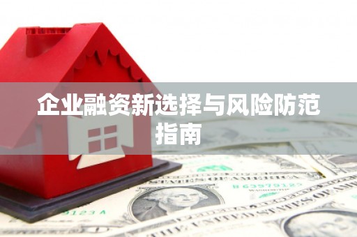 江东企业融资新选择与风险防范指南