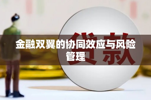 江东金融双翼的协同效应与风险管理