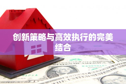 江东创新策略与高效执行的完美结合