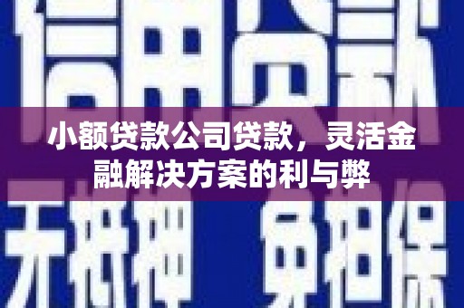 江东小额贷款公司贷款，灵活金融解决方案的利与弊