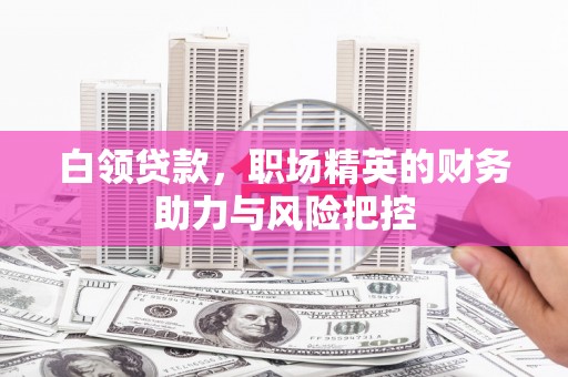江东白领贷款,职场精英的财务助力与风险把控 江东白领贷款,职场精英的财务助力与风险把控