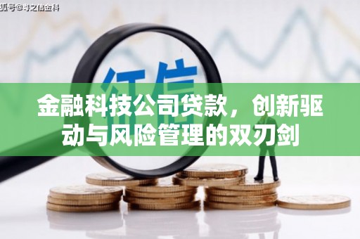 江东金融科技公司贷款，创新驱动与风险管理的双刃剑