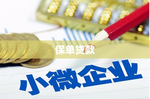 江东保单贷款 江东保单贷款